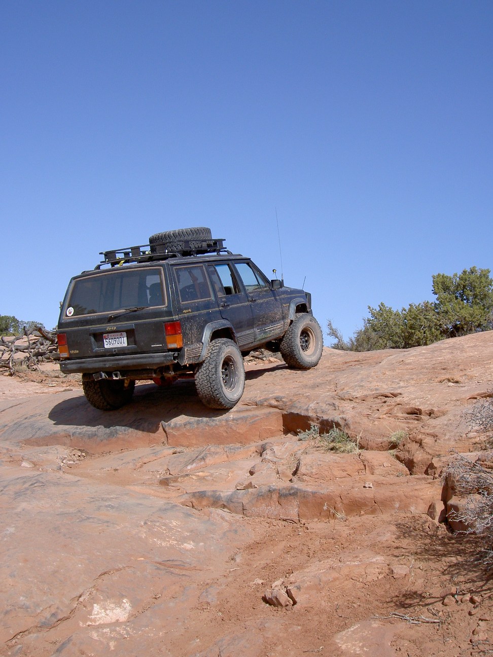 2008JEEPSAFARI1 (53).JPG